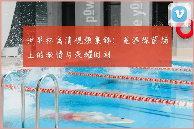 世界杯高清视频集锦：重温绿茵场上的激情与荣耀时刻