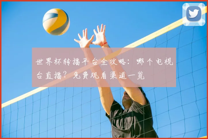 世界杯转播平台全攻略:哪个电视台直播?免费观看渠道一览